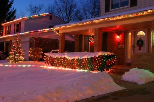 this image shows bush Christmas lights in Folsom, CA