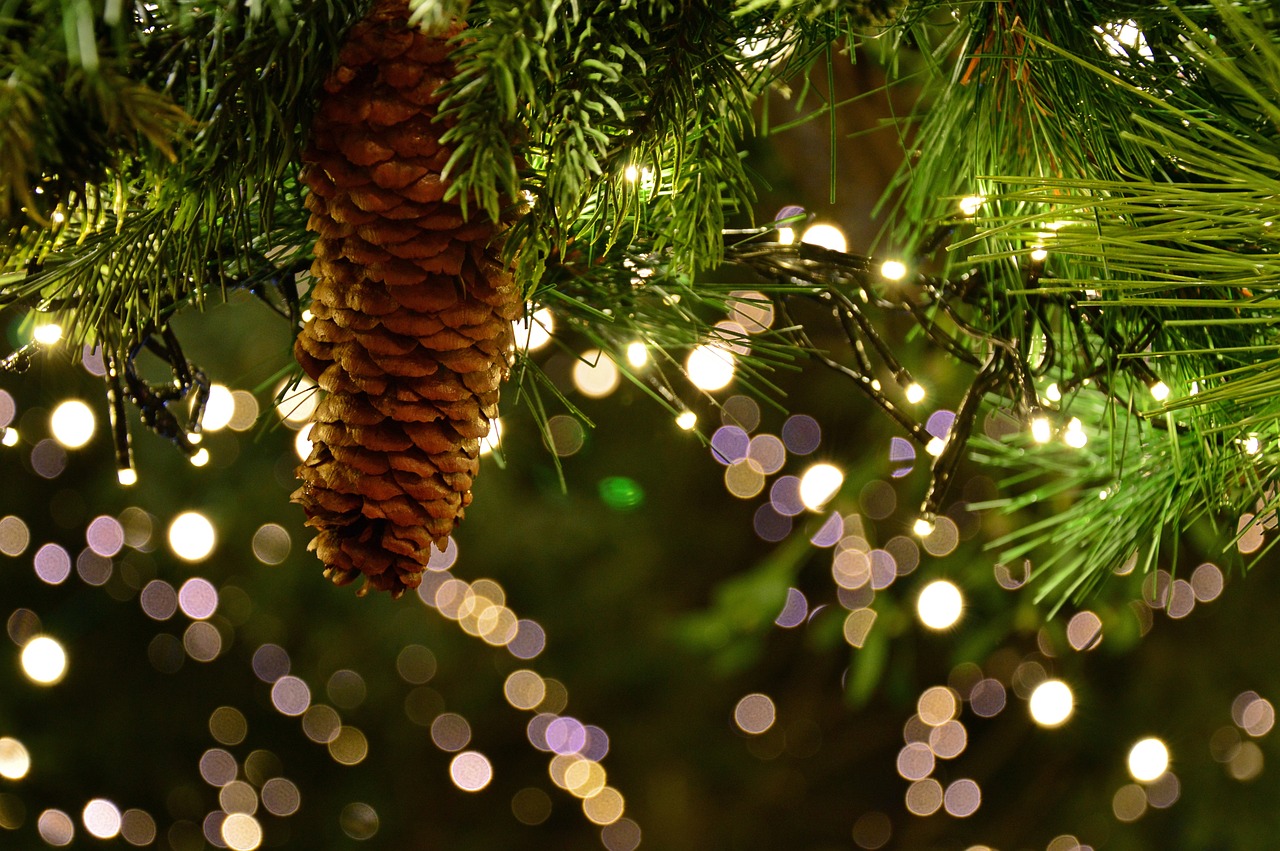 this image shows garlands in Folsom, CA