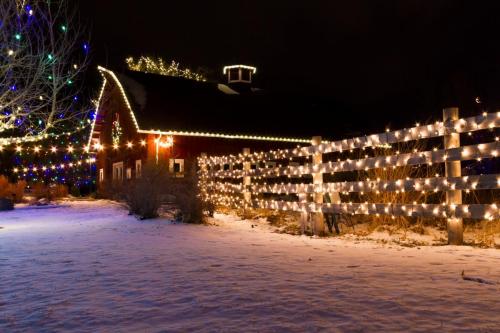 this image shows christmas light installation in Folsom, CA