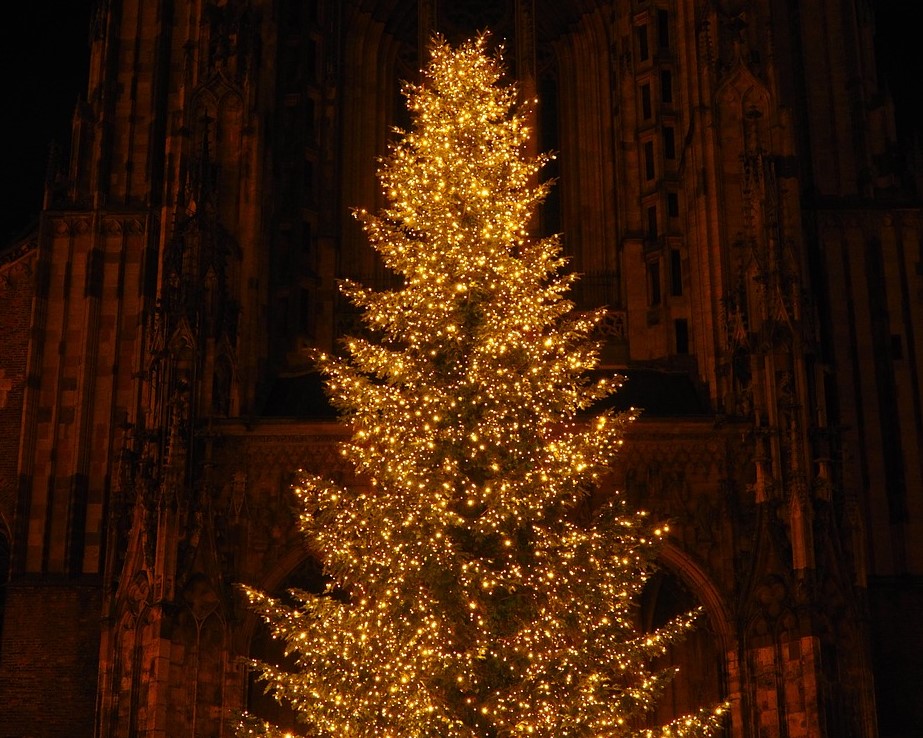 this image shows tree Christmas lights in Folsom, CA