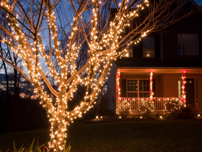 this image shows tree Christmas lights in Folsom, CA