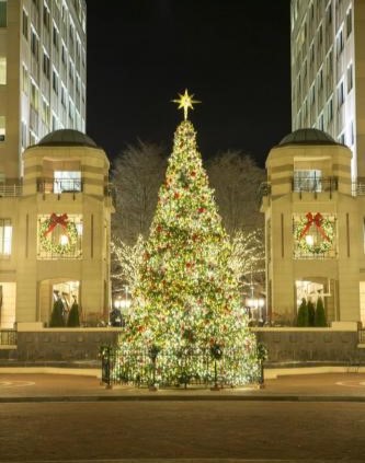 this image shows tree Christmas lights in Folsom, CA