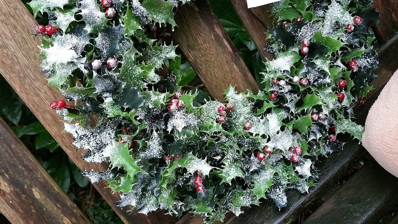 this image shows garlands in Folsom, CA