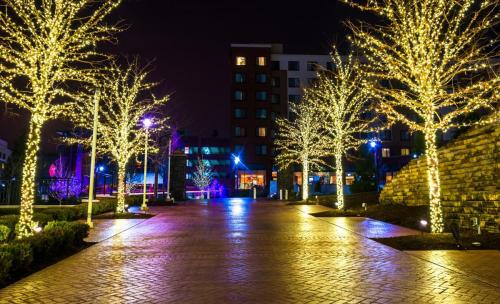 this image shows tree Christmas lights in Folsom, CA