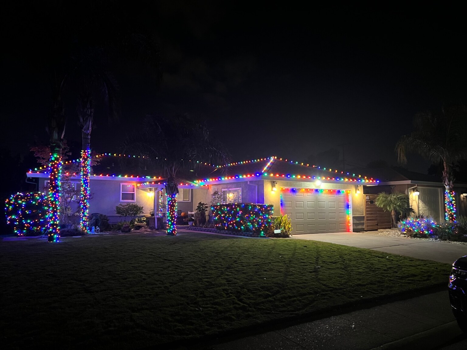 Christmas lights in Cameron Park, CA: palms multicolor